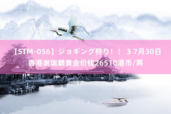 【STM-056】ジョギング狩り！！ 3 7月30日香港谢瑞麟黄金价钱26510港币/两