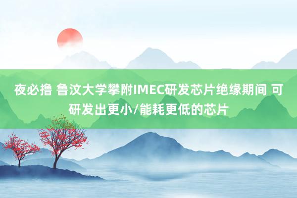 夜必撸 鲁汶大学攀附IMEC研发芯片绝缘期间 可研发出更小/能耗更低的芯片