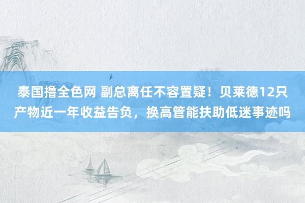 泰国撸全色网 副总离任不容置疑！贝莱德12只产物近一年收益告负，换高管能扶助低迷事迹吗