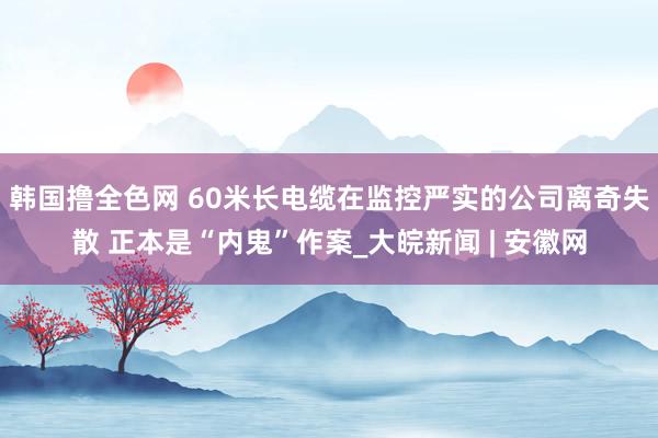 韩国撸全色网 60米长电缆在监控严实的公司离奇失散 正本是“内鬼”作案_大皖新闻 | 安徽网