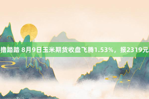 撸踏踏 8月9日玉米期货收盘飞腾1.53%，报2319元