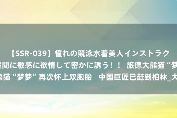 【SSR-039】憧れの競泳水着美人インストラクターは生徒のモッコリ股間に敏感に欲情して密かに誘う！！ 旅德大熊猫“梦梦”再次怀上双胞胎   中国巨匠已赶到柏林_大皖新闻 | 安徽网