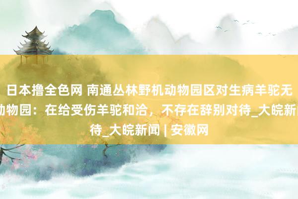 日本撸全色网 南通丛林野机动物园区对生病羊驼无论不顾？动物园：在给受伤羊驼和洽，不存在辞别对待_大皖新闻 | 安徽网