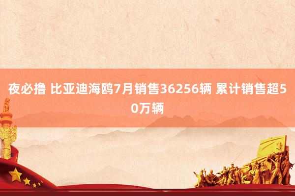 夜必撸 比亚迪海鸥7月销售36256辆 累计销售超50万辆