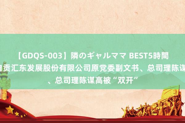 【GDQS-003】隣のギャルママ BEST5時間 Vol.2 四川自贡汇东发展股份有限公司原党委副文书、总司理陈谋高被“双开”