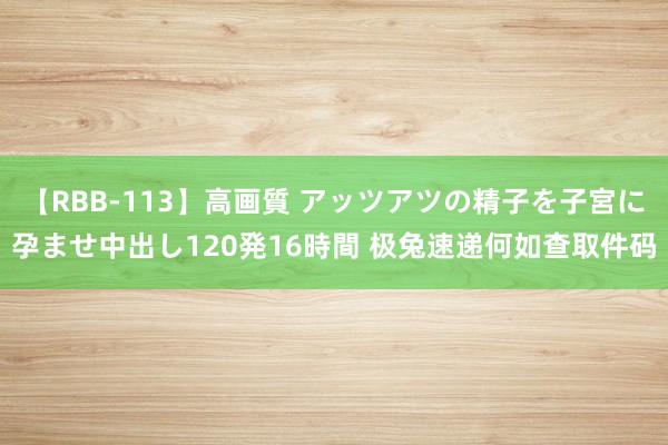 【RBB-113】高画質 アッツアツの精子を子宮に孕ませ中出し120発16時間 极兔速递何如查取件码