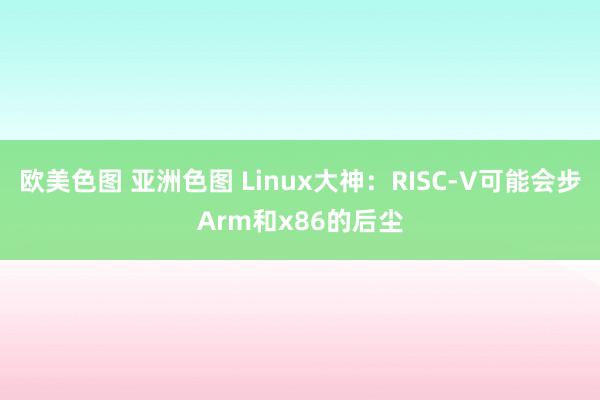 欧美色图 亚洲色图 Linux大神：RISC-V可能会步Arm和x86的后尘