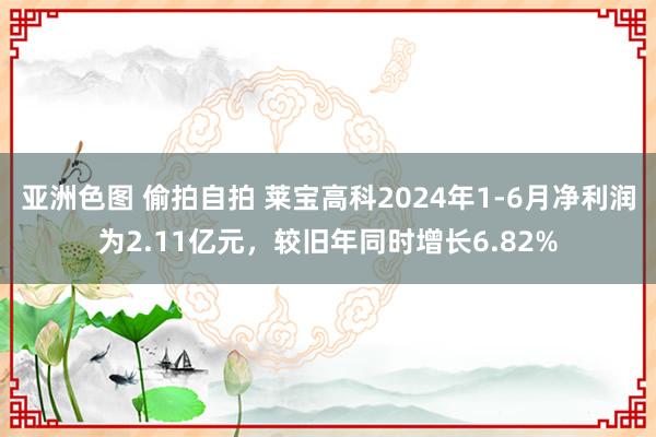 亚洲色图 偷拍自拍 莱宝高科2024年1-6月净利润为2.11亿元，较旧年同时增长6.82%