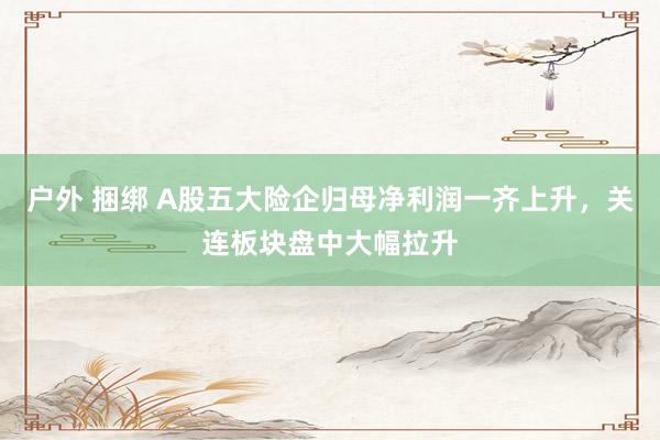 户外 捆绑 A股五大险企归母净利润一齐上升，关连板块盘中大幅拉升