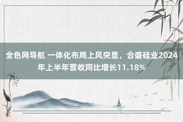 全色网导航 一体化布局上风突显，合盛硅业2024年上半年营收同比增长11.18%