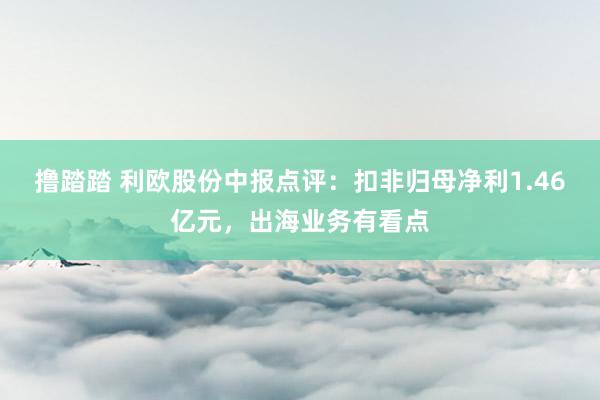 撸踏踏 利欧股份中报点评：扣非归母净利1.46亿元，出海业务有看点