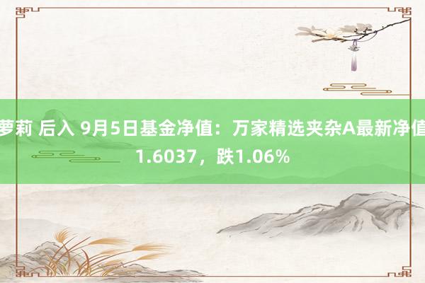 萝莉 后入 9月5日基金净值：万家精选夹杂A最新净值1.6037，跌1.06%