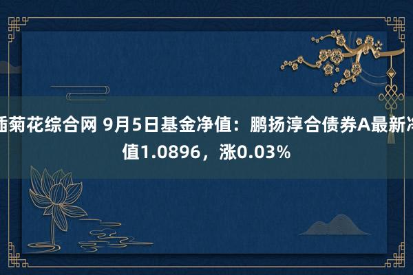 插菊花综合网 9月5日基金净值：鹏扬淳合债券A最新净值1.0896，涨0.03%