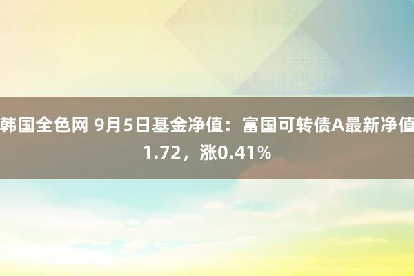 韩国全色网 9月5日基金净值：富国可转债A最新净值1.72，涨0.41%