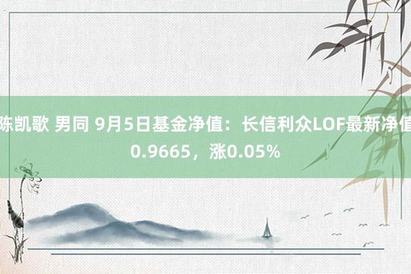 陈凯歌 男同 9月5日基金净值：长信利众LOF最新净值0.9665，涨0.05%