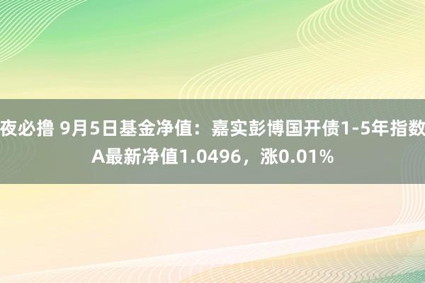 夜必撸 9月5日基金净值：嘉实彭博国开债1-5年指数A最新净值1.0496，涨0.01%