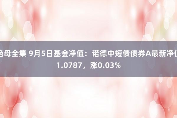 艳母全集 9月5日基金净值：诺德中短债债券A最新净值1.0787，涨0.03%