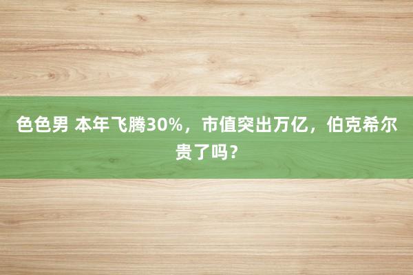 色色男 本年飞腾30%，市值突出万亿，伯克希尔贵了吗？