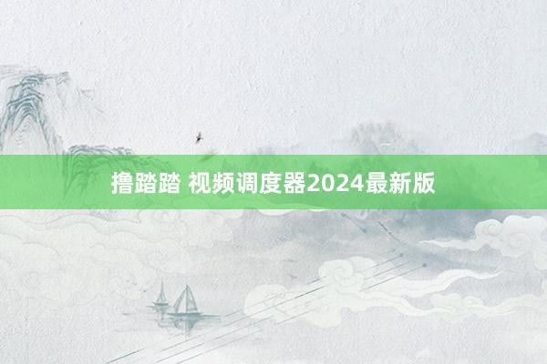 撸踏踏 视频调度器2024最新版