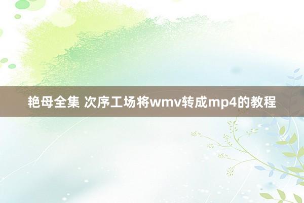 艳母全集 次序工场将wmv转成mp4的教程