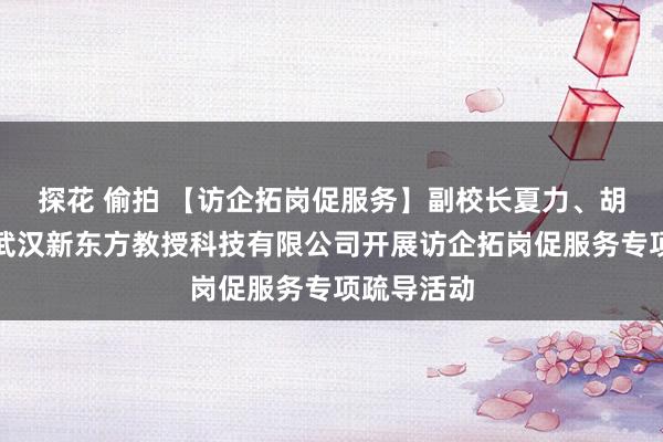 探花 偷拍 【访企拓岗促服务】副校长夏力、胡兴带队赴武汉新东方教授科技有限公司开展访企拓岗促服务专项疏导活动